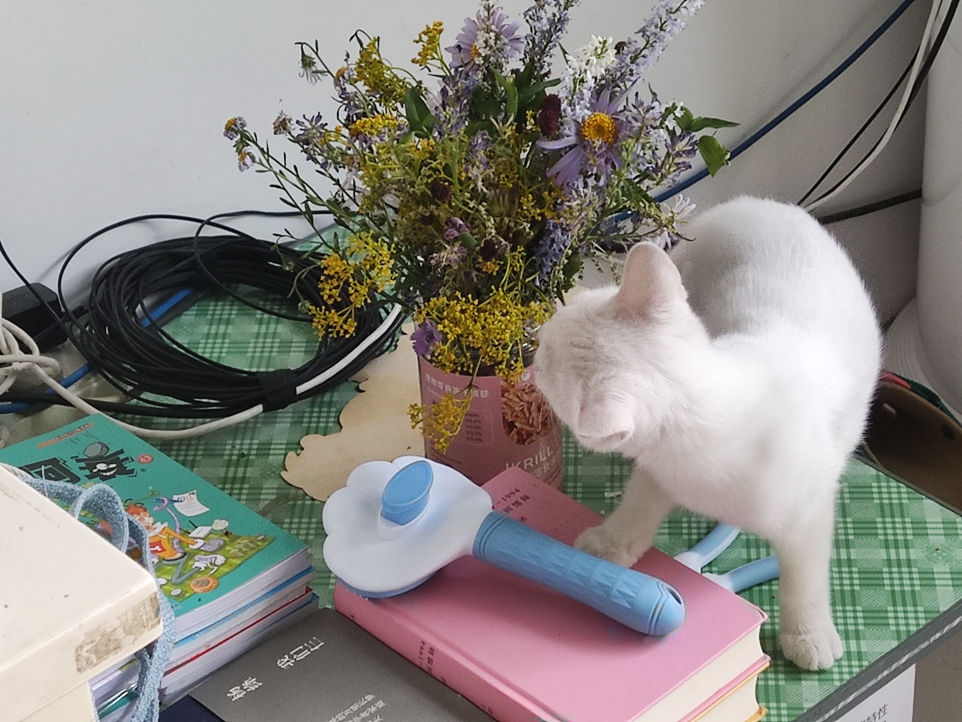 介绍页旧封面图
